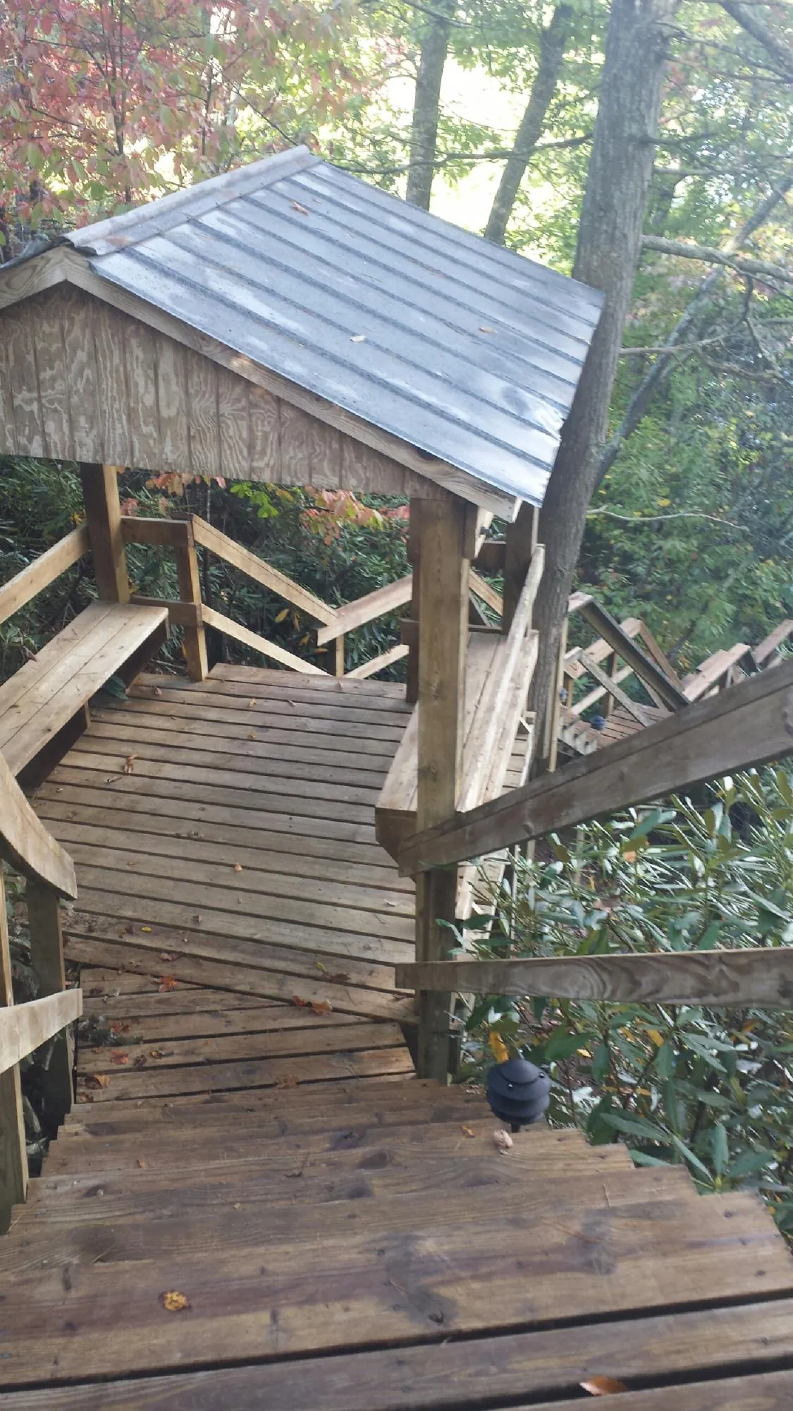 Metal roofed shelter over wooden steps on a wooded walkway — Skylight Repair & Installation work by our crew in Red Bud